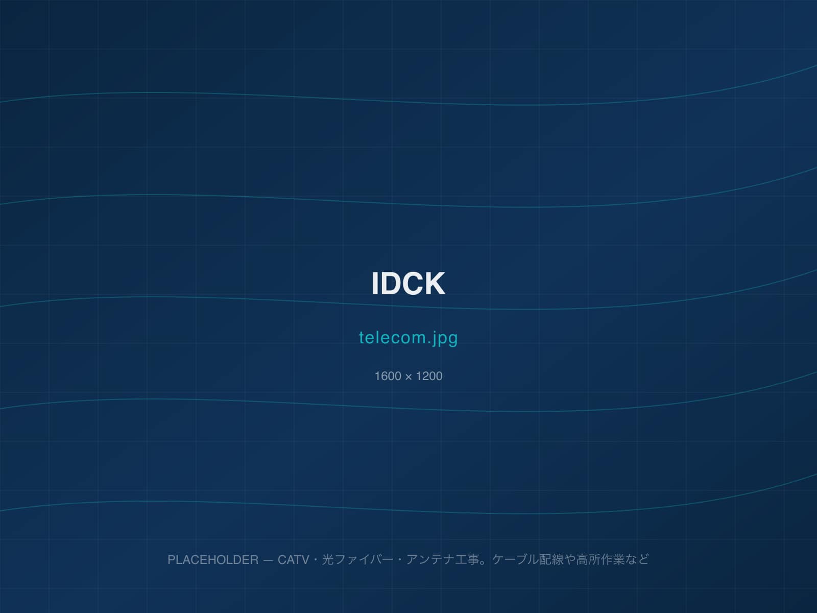 通信工事の様子